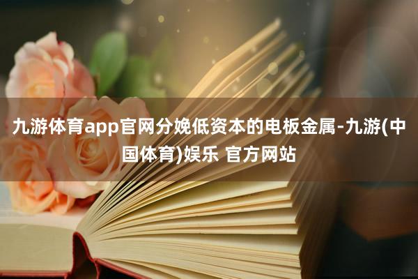 九游体育app官网分娩低资本的电板金属-九游(中国体育)娱乐 官方网站