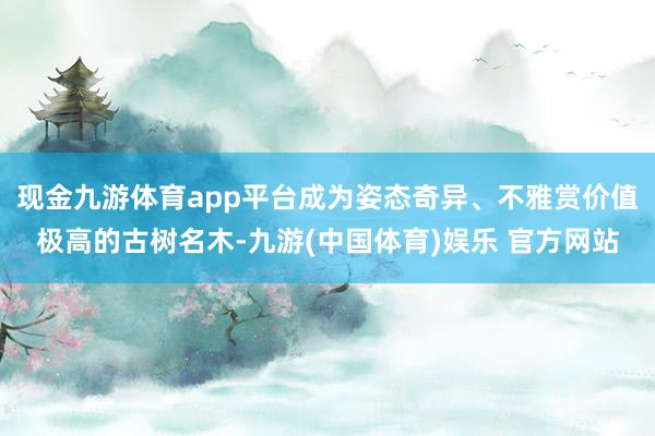 现金九游体育app平台成为姿态奇异、不雅赏价值极高的古树名木-九游(中国体育)娱乐 官方网站