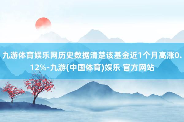 九游体育娱乐网历史数据清楚该基金近1个月高涨0.12%-九游(中国体育)娱乐 官方网站