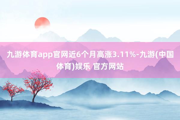 九游体育app官网近6个月高涨3.11%-九游(中国体育)娱乐 官方网站