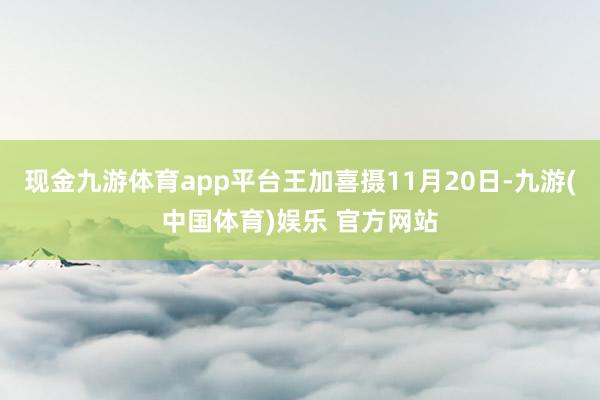 现金九游体育app平台王加喜摄11月20日-九游(中国体育)娱乐 官方网站