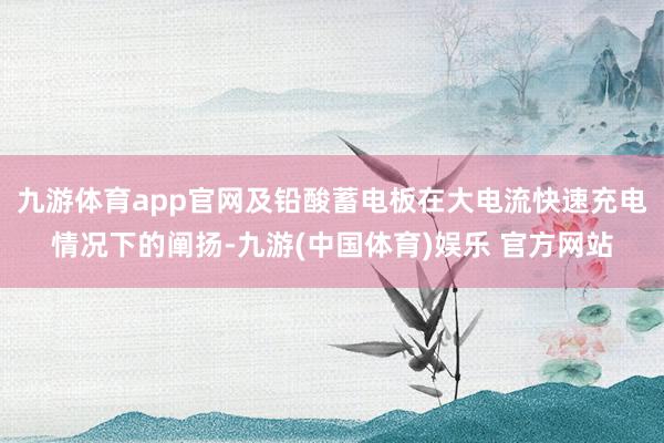 九游体育app官网及铅酸蓄电板在大电流快速充电情况下的阐扬-九游(中国体育)娱乐 官方网站