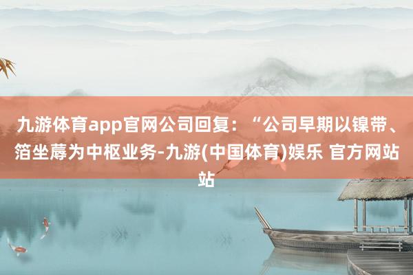 九游体育app官网公司回复:“公司早期以镍带、箔坐蓐为中枢业务-九游(中国体育)娱乐 官方网站