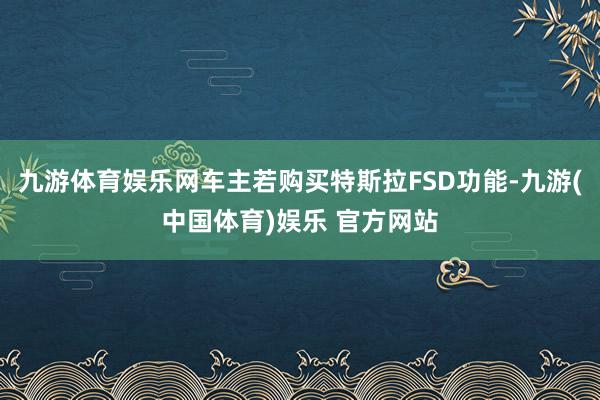 九游体育娱乐网车主若购买特斯拉FSD功能-九游(中国体育)娱乐 官方网站