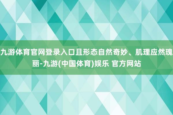 九游体育官网登录入口且形态自然奇妙、肌理应然瑰丽-九游(中国体育)娱乐 官方网站