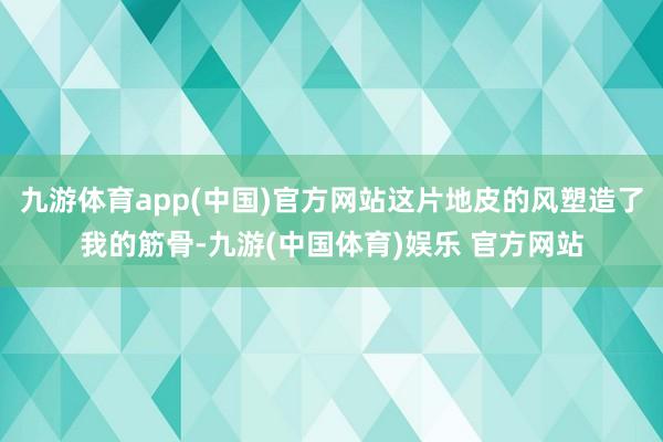 九游体育app(中国)官方网站这片地皮的风塑造了我的筋骨-九游(中国体育)娱乐 官方网站