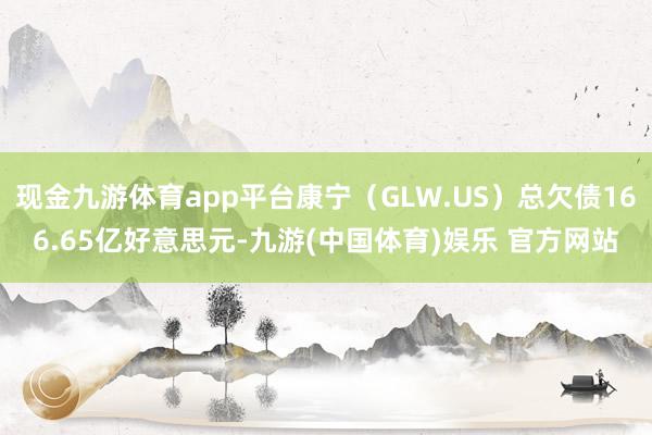 现金九游体育app平台康宁（GLW.US）总欠债166.65亿好意思元-九游(中国体育)娱乐 官方网站