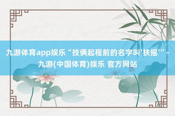 九游体育app娱乐“技俩起程前的名字叫‘扶摇’”-九游(中国体育)娱乐 官方网站